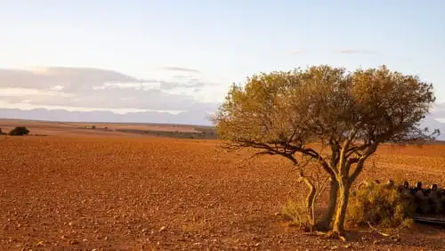 Le parc national de Karoo : un break nature