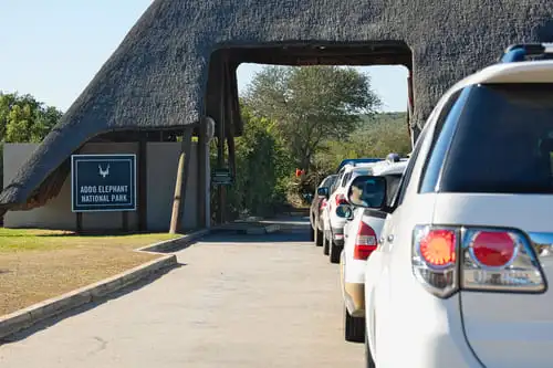 Pourquoi un safari passant par Addo Elephant ?