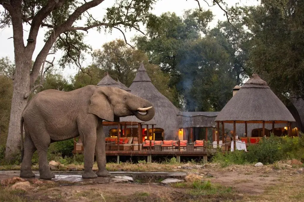 De luxueuses rondavelles au sein du parc Kruger