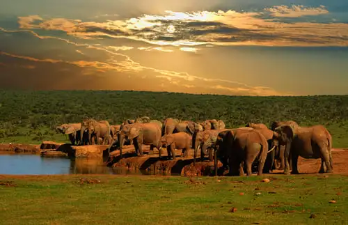 Afrique du Sud : préparer son voyage