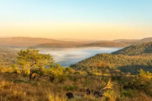 La réserve naturelle de Hluhluwe Imfolozi