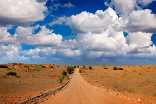 Le parc transfrontalier de Kgalagadi