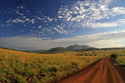 Un safari tourné vers la nature du Pilanesberg