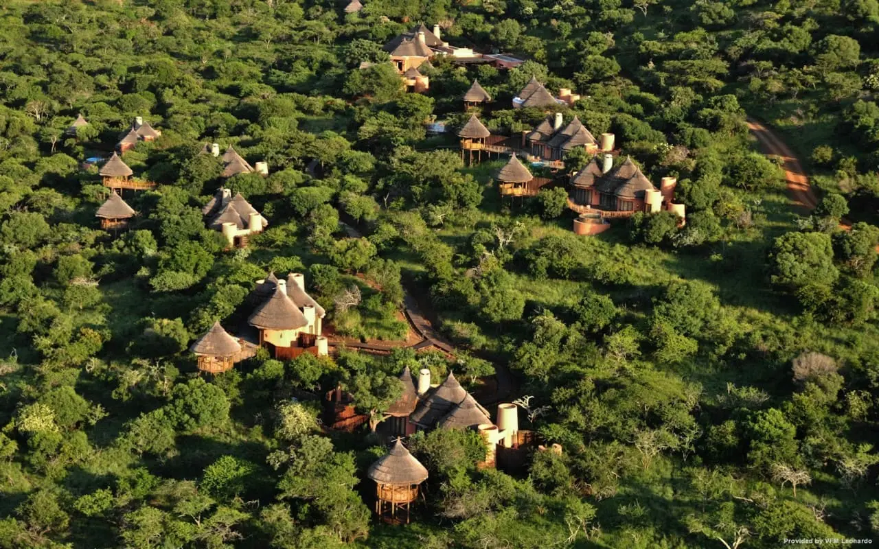 Un safari responsable en Afrique du Sud