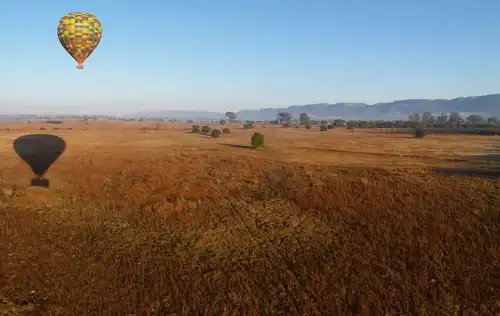 Un safari unique vu du ciel