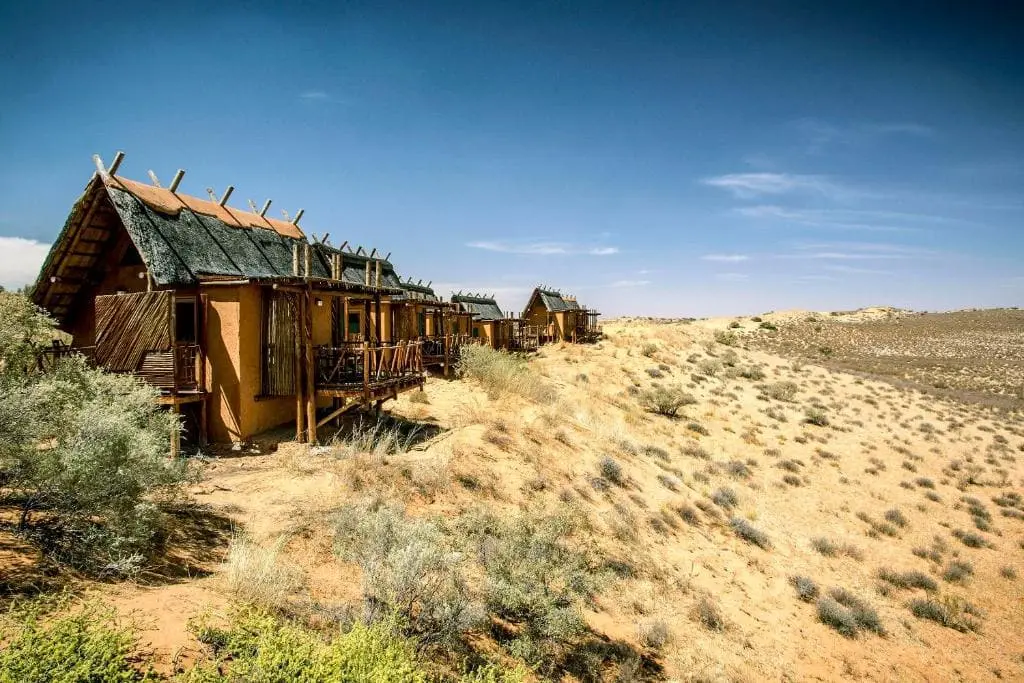 !Xaus Lodge – parc transfrontalier de Kgalagadi