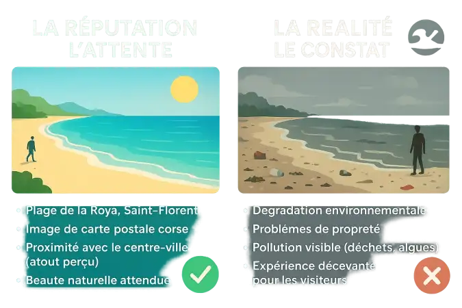 Plage de la Roya polluée