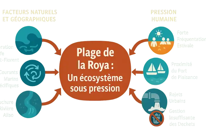 Vue aérienne de la plage de la Roya montrant l'accumulation de déchets