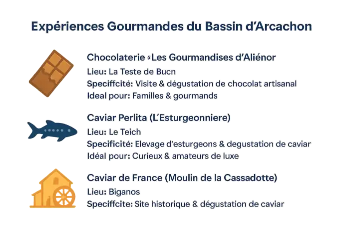Découverte gourmande à Arcachon : chocolat et caviar