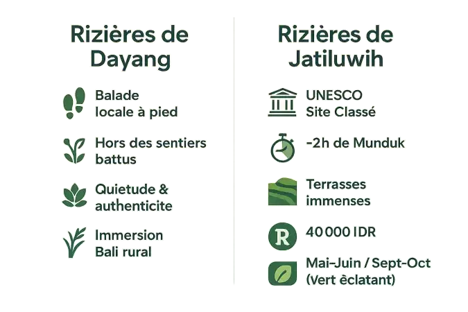 <strong>Comparaison des rizières de Bali</strong>