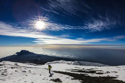 Safari en Hiver : autre ambiance et belles surprises