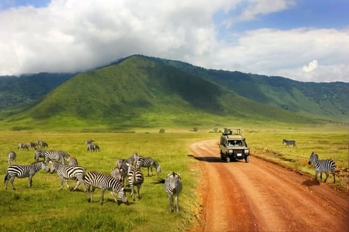 Pourquoi souscrire une assurance voyage pour votre safari africain