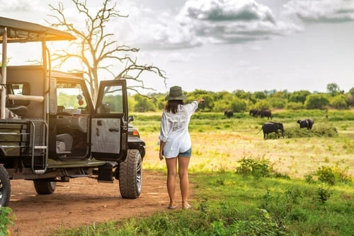 Les risques spécifiques d'un safari à prendre en compte