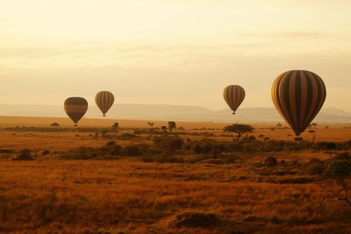 La très célèbre réserve du Masai Mara