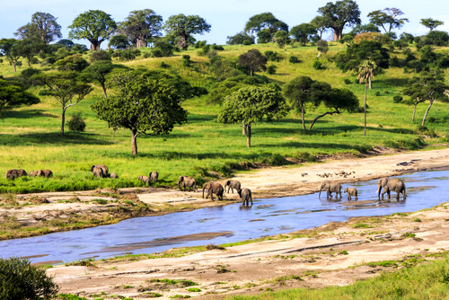 Le Serengeti, joyau au nord de la Tanzanie
