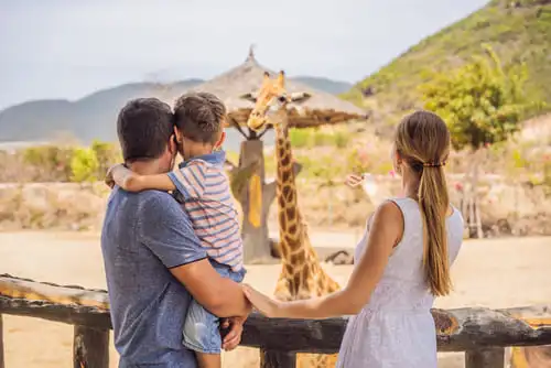 L'équipement essentiel pour un safari familial responsable