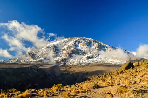 Quand partir en hiver pour un safari réussi ?