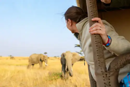 Les parcs nationaux d’Afrique, paradis des animaux