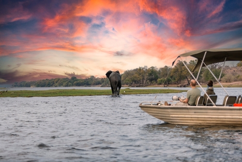 Safari Botswana : Guide Complet en 2025 | SafariWorld.fr