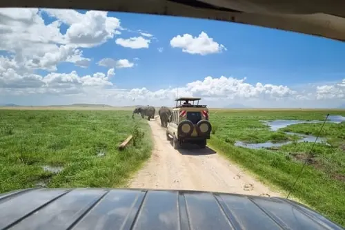 Comment bien préparer votre séjour de safari ?