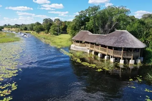 Quand et comment partir en Safari au Botswana ?