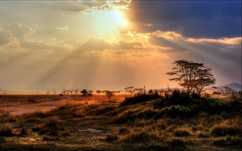 Combien prévoir pour un trajet vers le Botswana ?