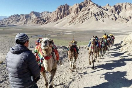 desert de gobi