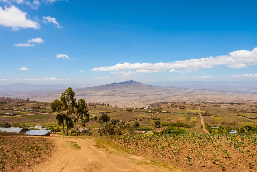 Safari et golf au Kenya