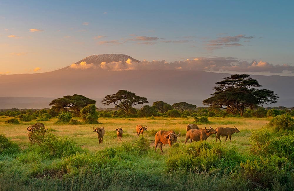 Le mont Kenya