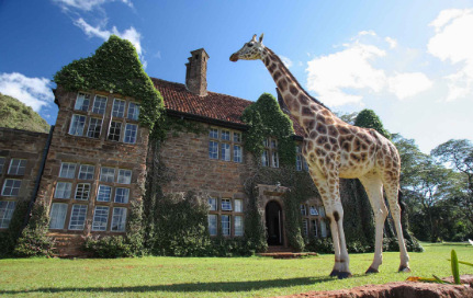 Quel lodge pour mon safari au Kenya ?
