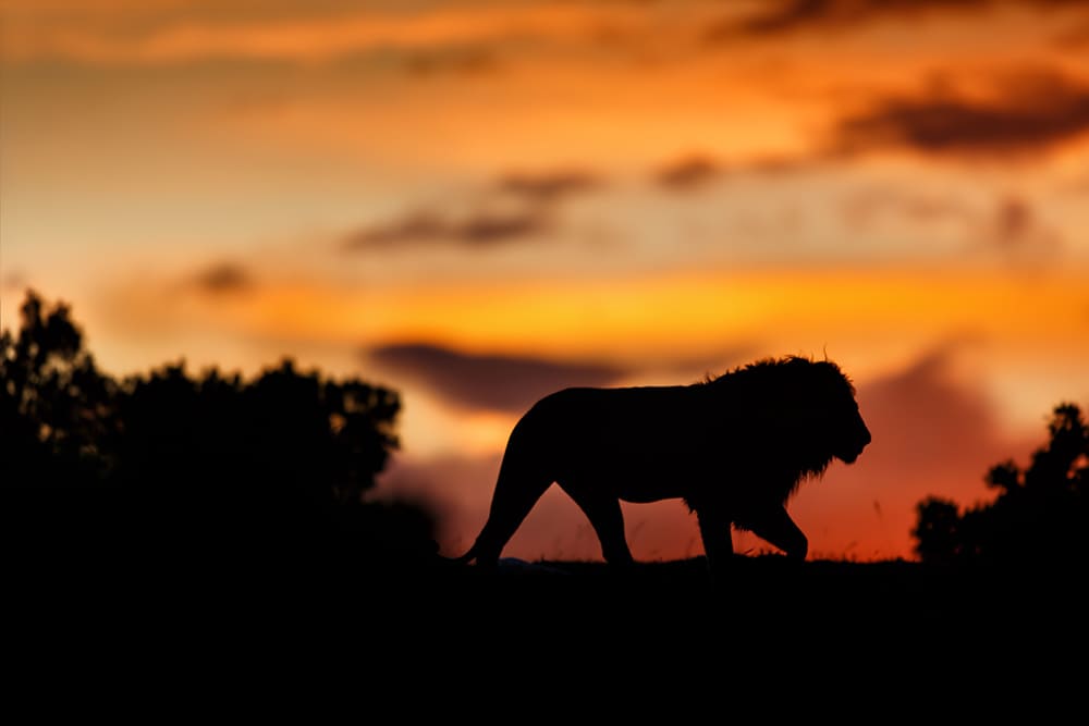 Parc national du mont Longonot