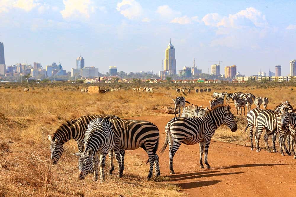 Parc national de Nairobi
