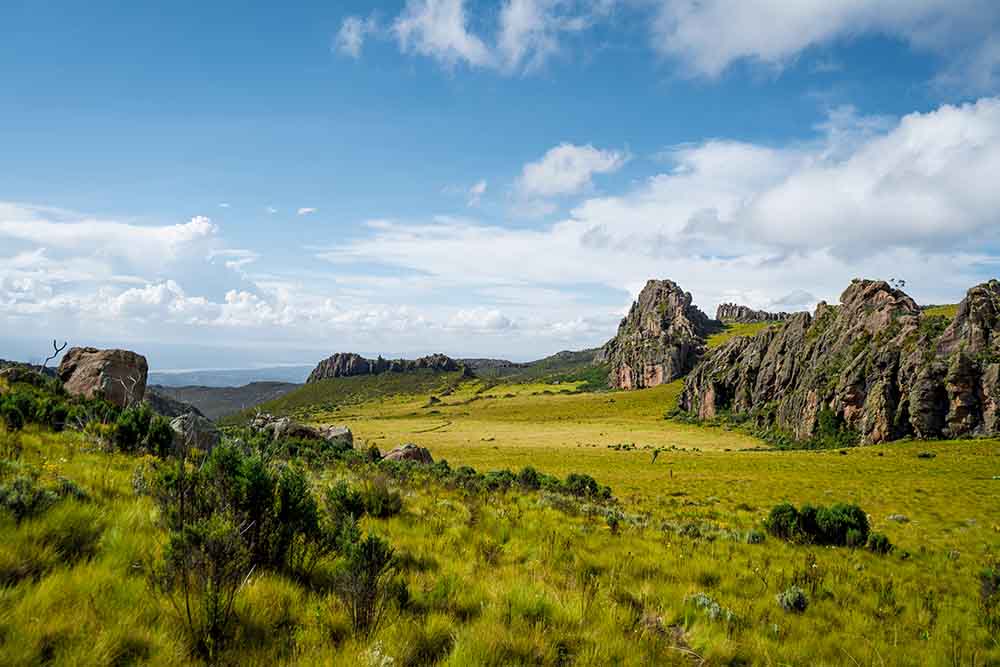 🏷️ Combien coûte un Safari au Kenya ?