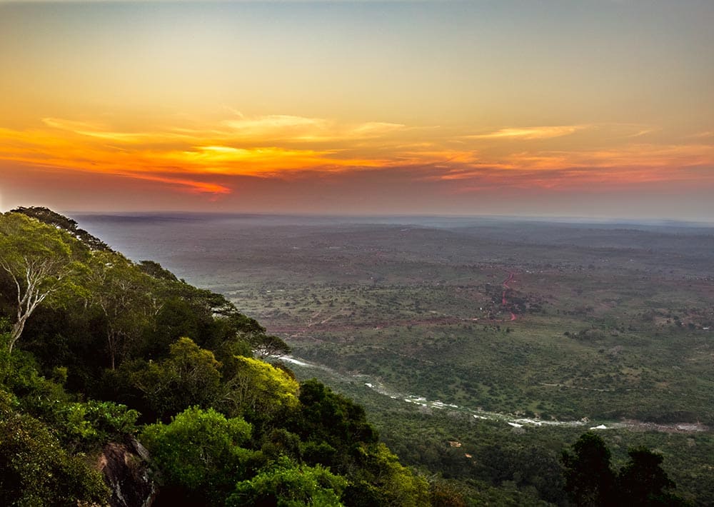 Réserve nationale des Shimba Hills