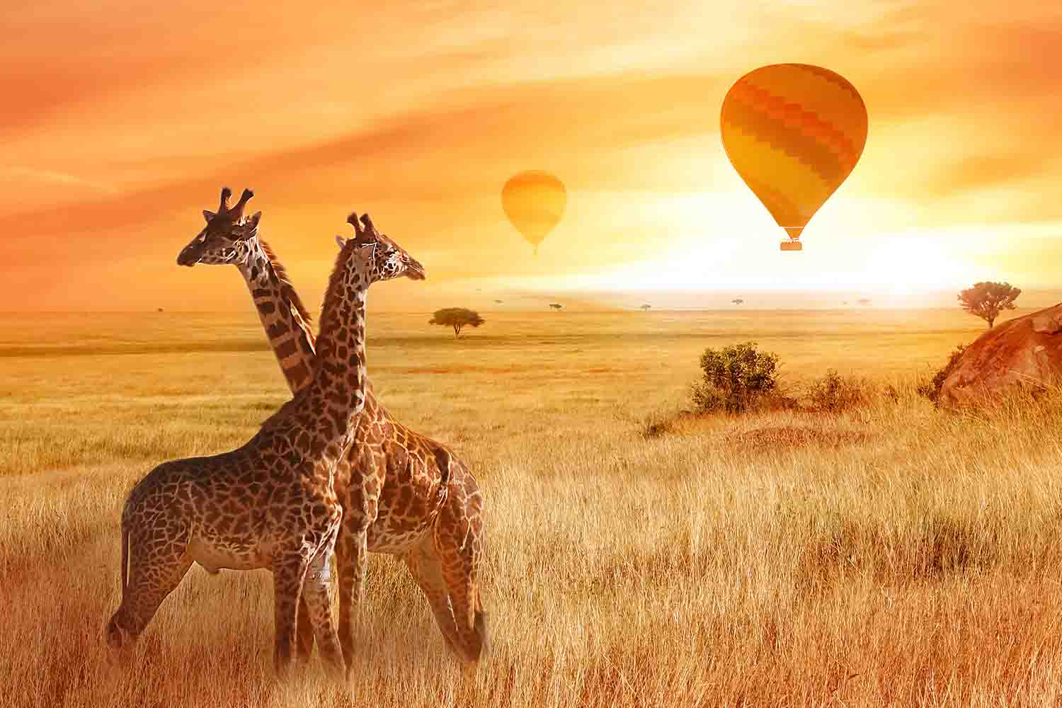 Votre visa pour un safari au Kenya