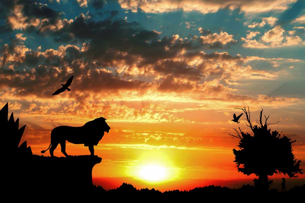 Safari au Kenya : Votre Safari sur mesure !
