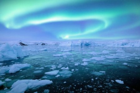 Safari arctique : Ours polaires et aurores au Svalbard