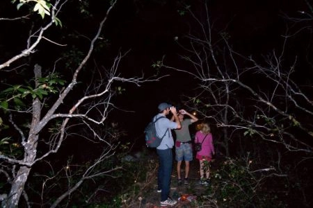 Safaris de nuit : quand la savane révèle ses secrets