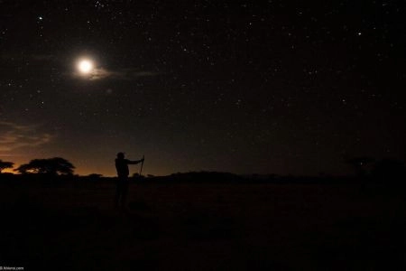 Safaris de nuit : quand la savane révèle ses secrets