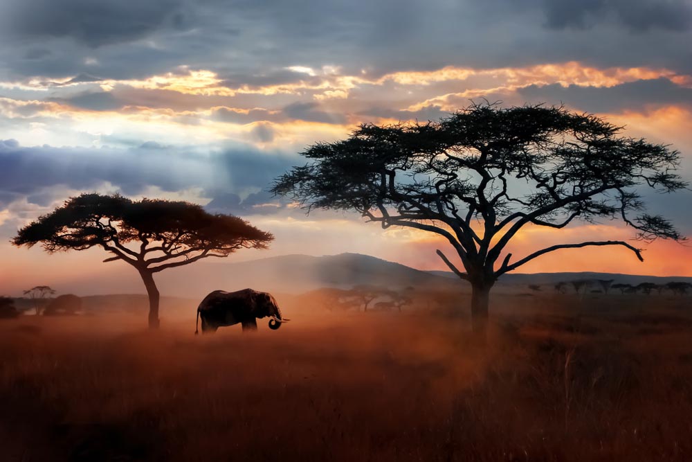 Activités culturelles en Tanzanie