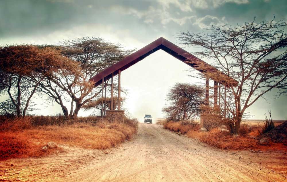 Safari en Tanzanie, quelles activités ?