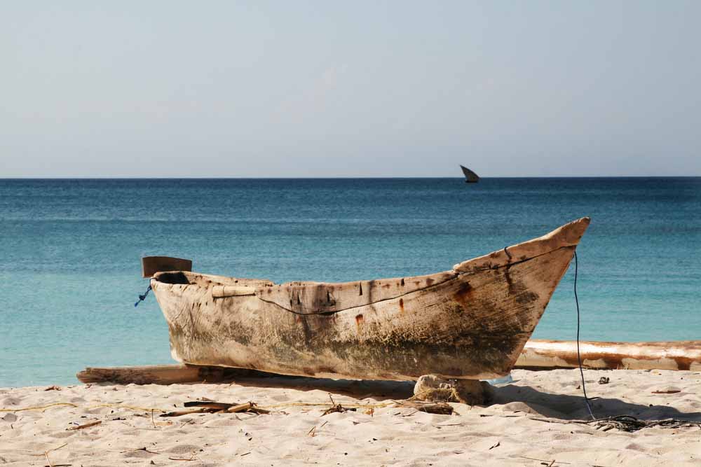 Canoë et safari en Tanzanie