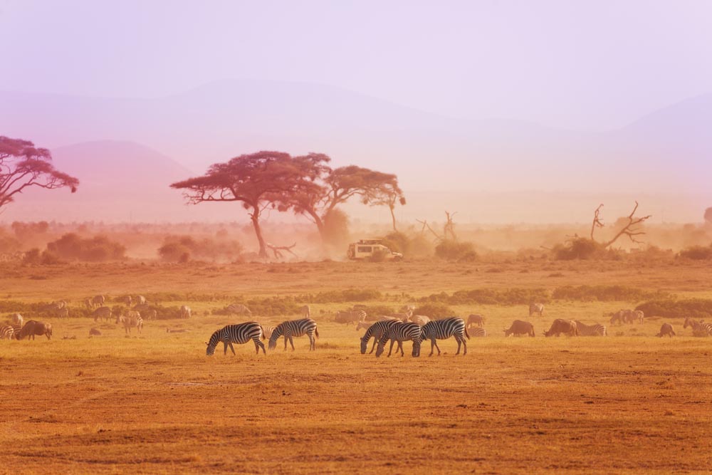 Equitation et safari à cheval en Tanzanie | SafariWorld.fr