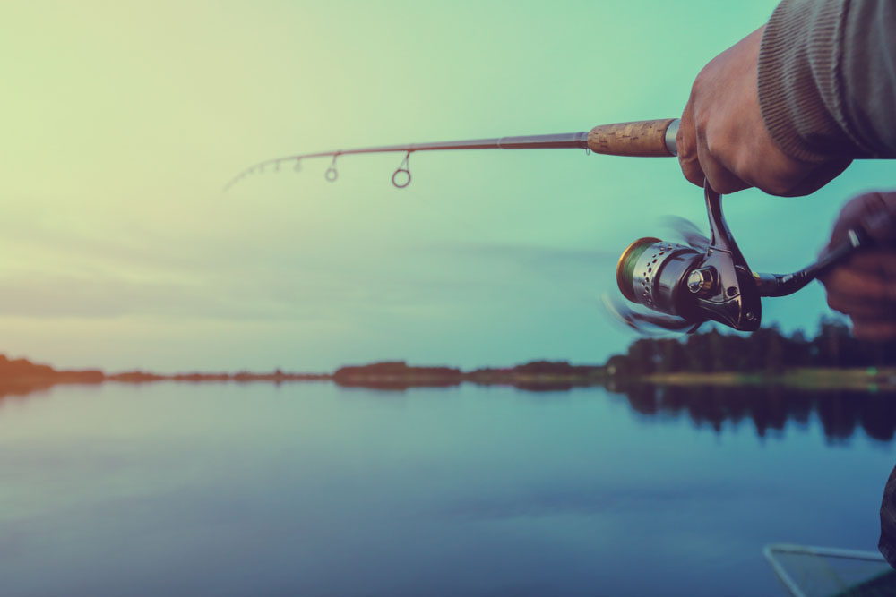 Safari et pêche au gros en Tanzanie : la passion des poissons | SafariWorld.fr