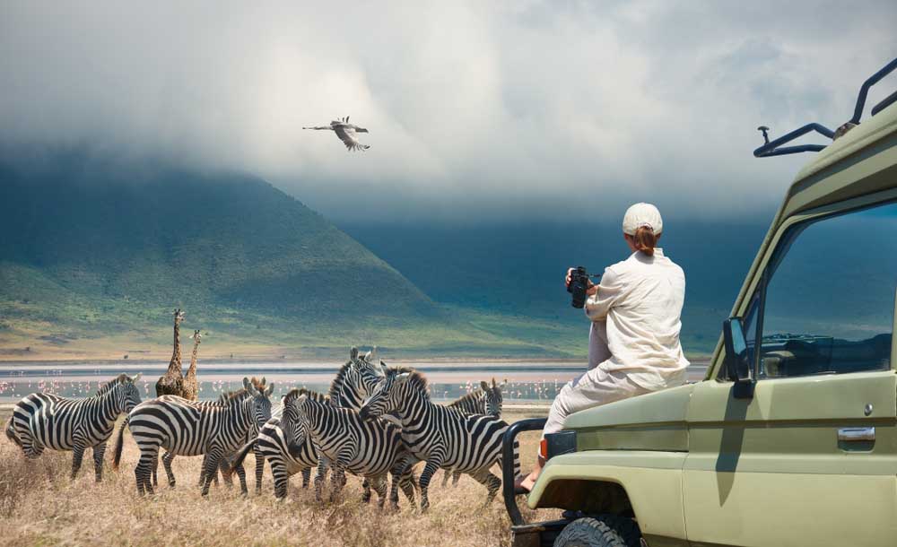 Quand partir en Tanzanie ?