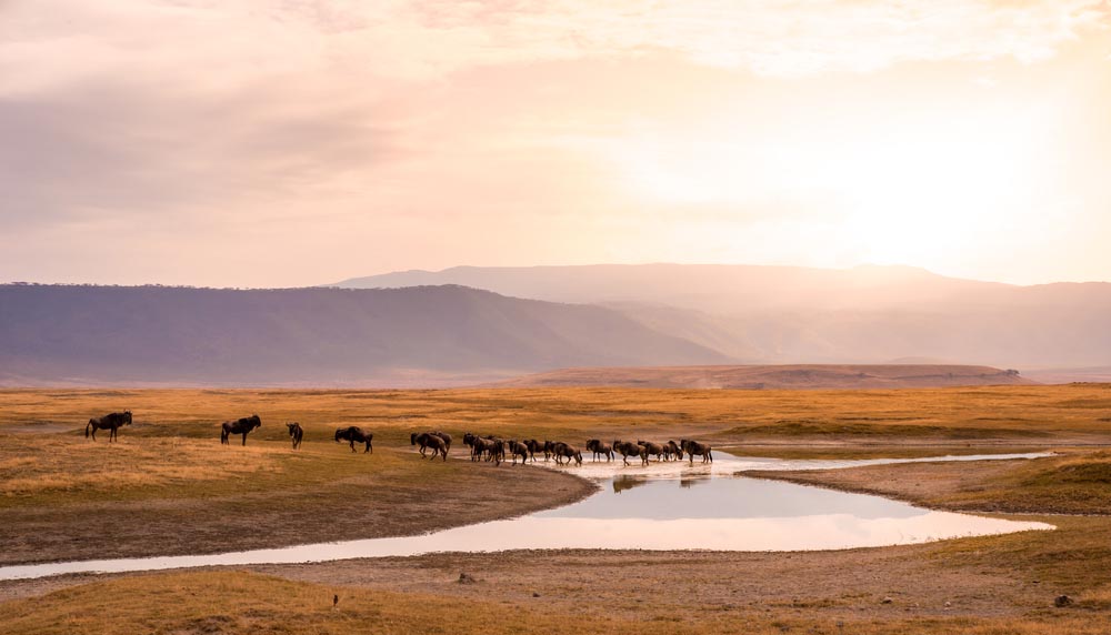 Un voyage de noce unique en Tanzanie