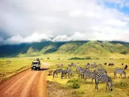 Pourquoi safari Tanzani