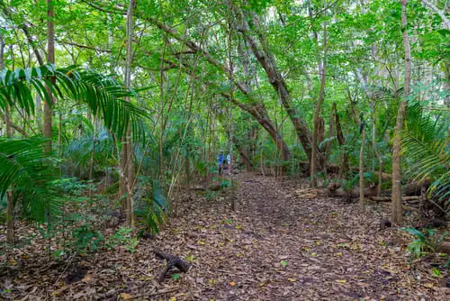 Randonnées dans la nature