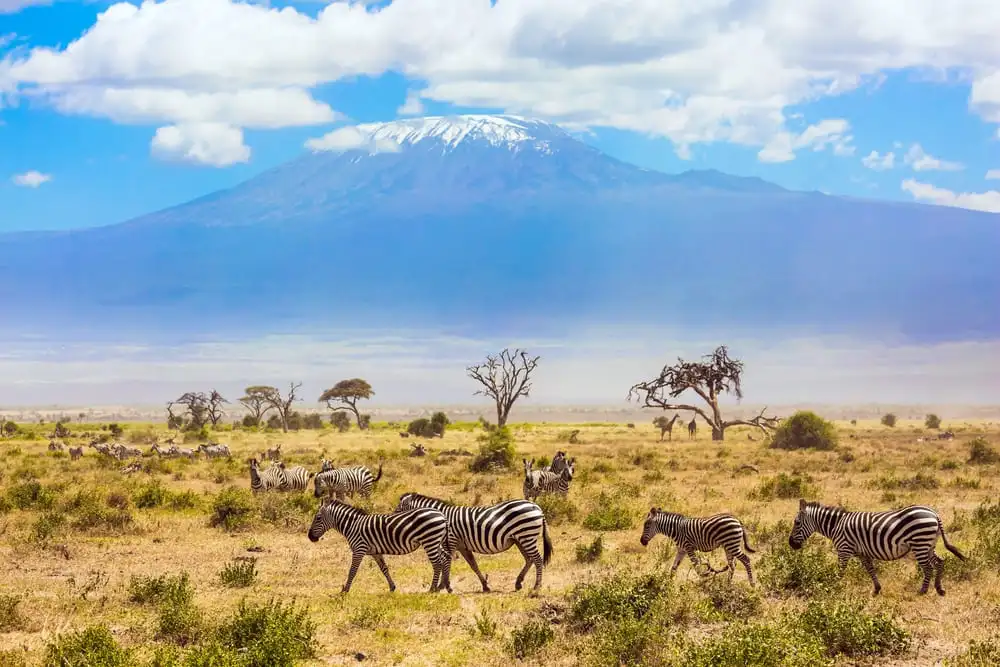 Le parc national du Mont Kilimandjaro