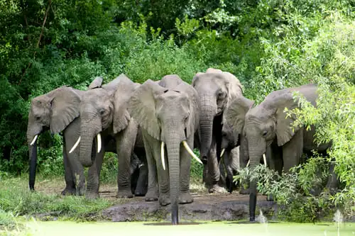 Quand et pourquoi visiter ce parc ?